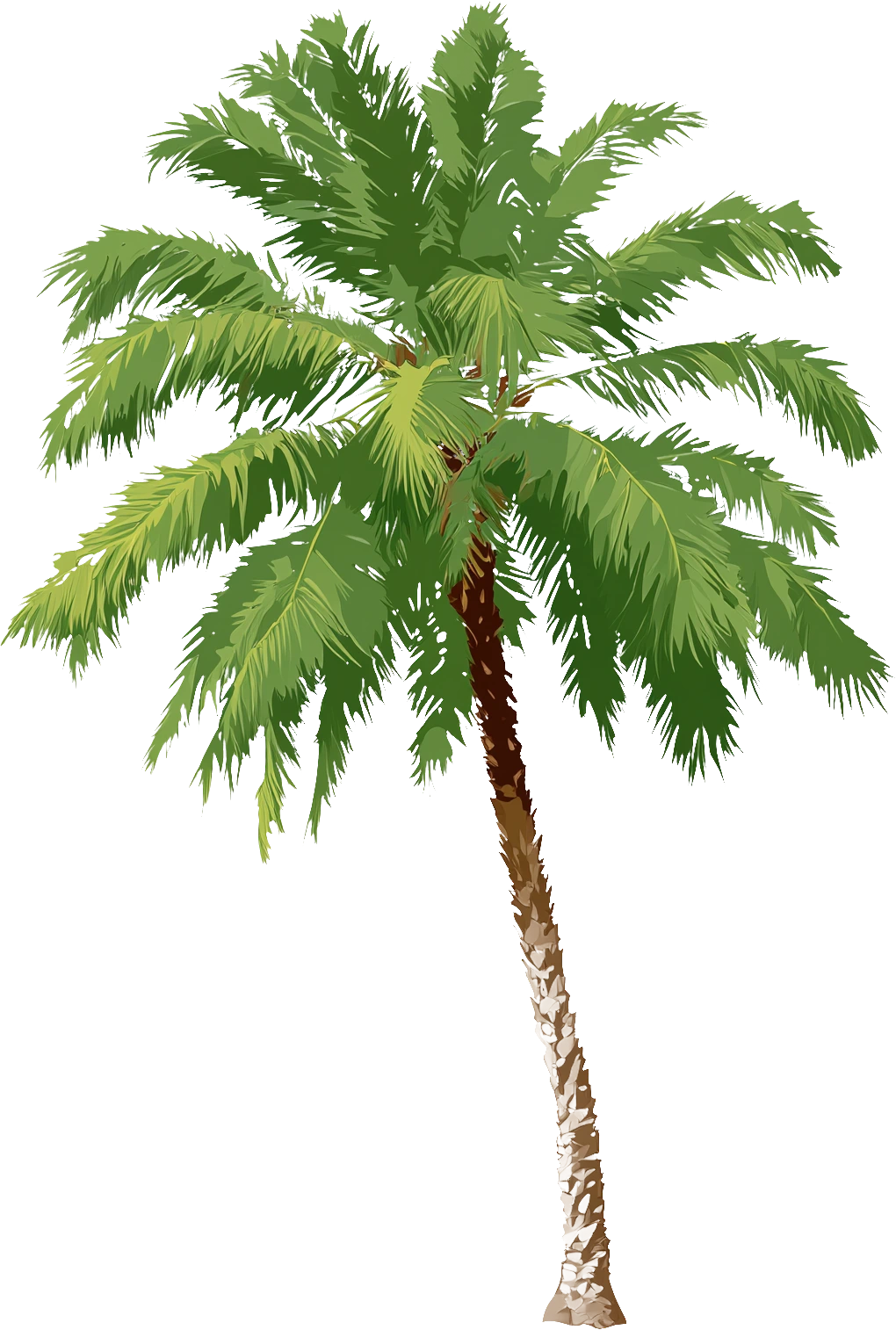 Palm tree decoration